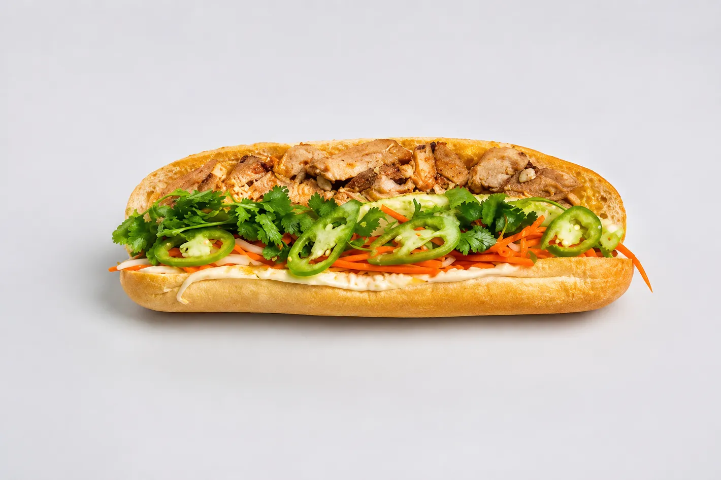 Bánh Mì Bò Kho – Vietnamese beef stew with baguette in Calgary SE